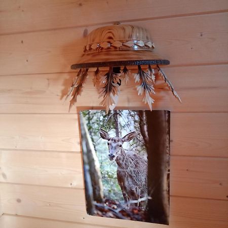 Domek Na Farmie Szaflary Exteriör bild